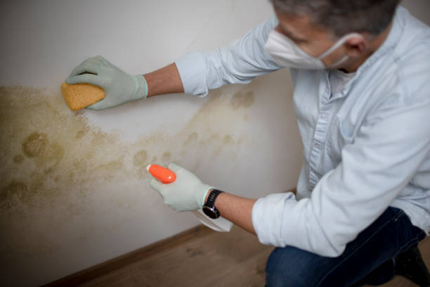 Best Water Damage Restoration  in Trinity, TX