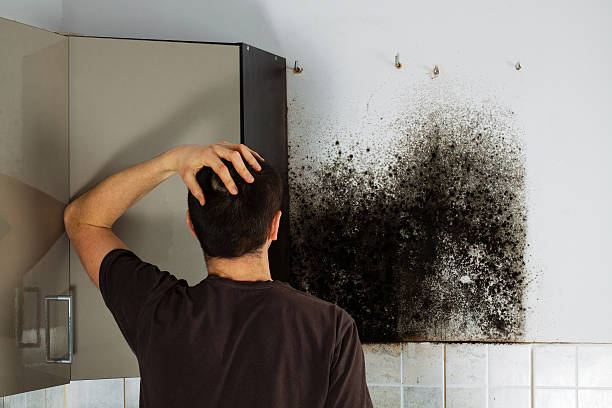 Best Mold Testing  in Trinity, TX